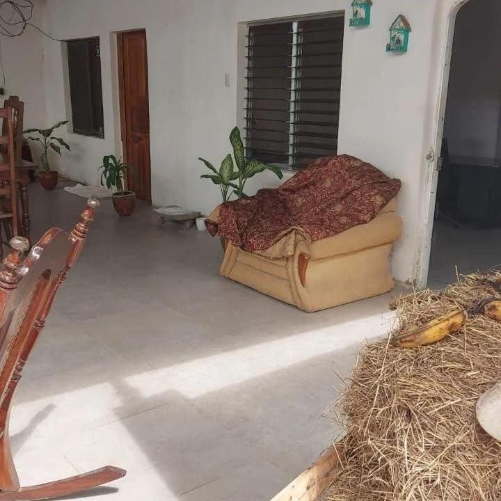 Hostal Brisas Del Ometepe Ривас Екстериор снимка